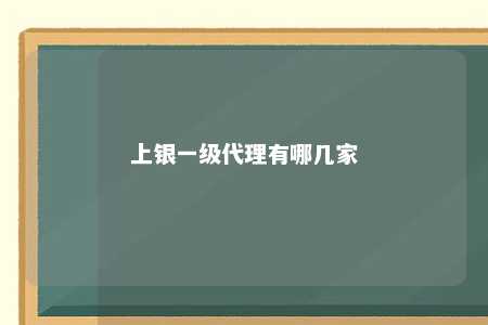 上银一级代理有哪几家 